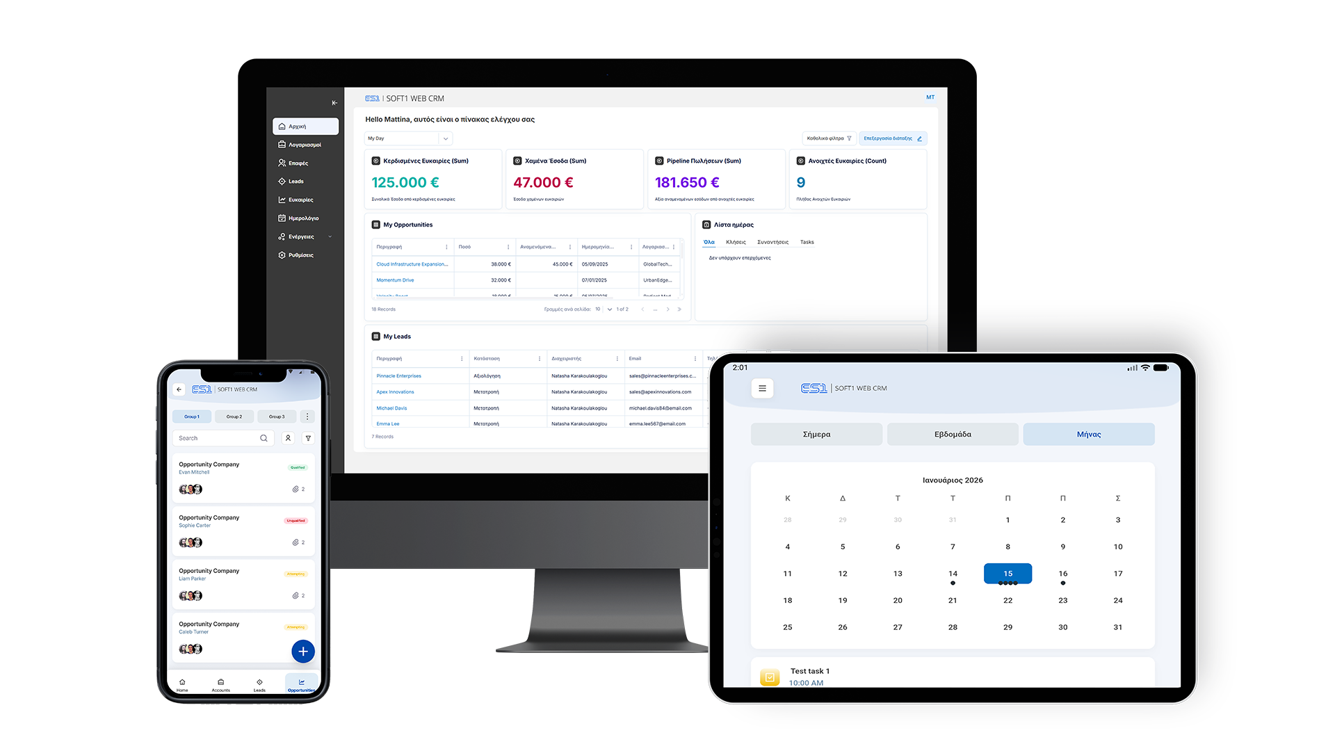 EnterSoftone Web CRM